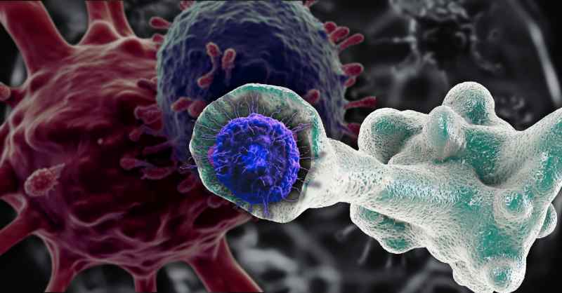 HIV being engulfed by macrophage,